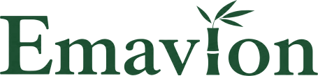 EMAVION – zur Startseite